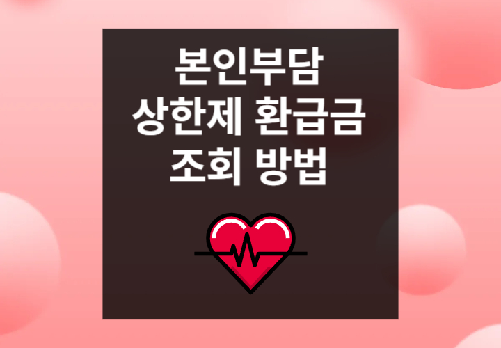 본인부담 상한제 환급금 조회 방법